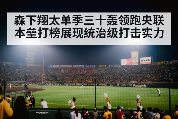 Japanese baseball stadium