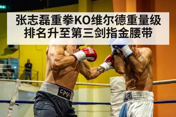 张志磊重拳KO维尔德重量级排名升至第三剑指金腰带
